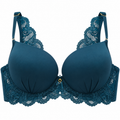 Elegant Lace Padded Bra with Floral Lace Detailing
