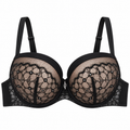 Elegant Floral Lace Padded Underwire Bra – Everyday Comfort & Support