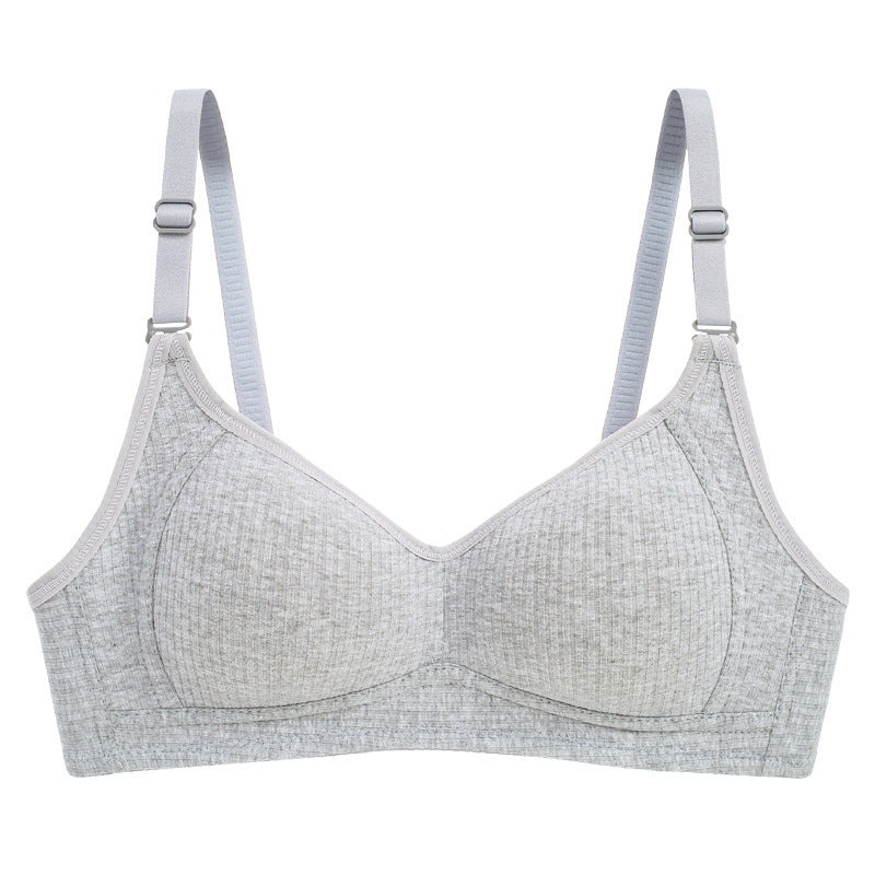 Women’s Cotton  Soft Padded Bra Grey 458