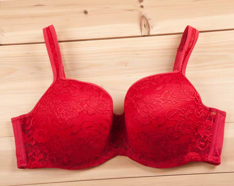 Premium Red Lace Thin Padded Support Bra 405