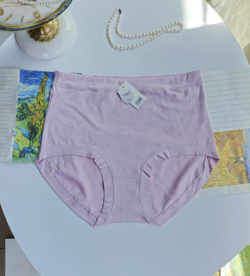 Plus Size Panty Flowers Allover Print