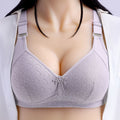 Graceful Lace Support Bra - Pearl Grey 443