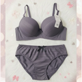 Premium Dusty Mauve  Bra & Panty Set for Women 431