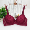 Maroon Floral Lace Padded Bra A5-D5